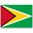 Formulario de solicitud Guyana  para residentes de Argentina.